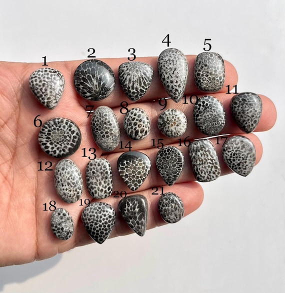 Natural Black Fossil Coral Mix Shape Cabochon Gemstone. Spider Web