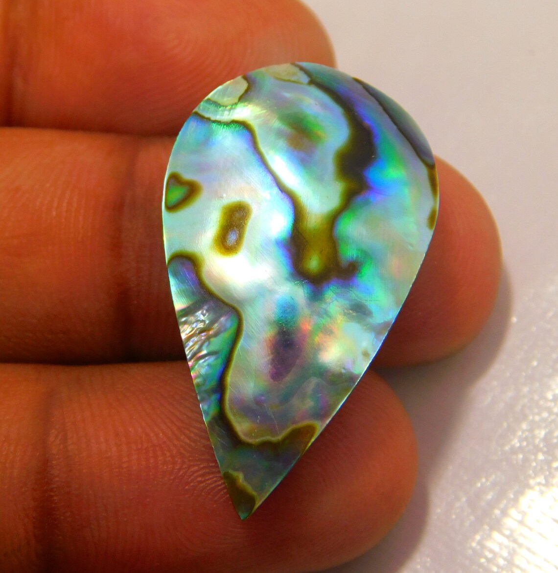 19x32x37MM Approx Natural Loose Australian Abalone Shell Etsy