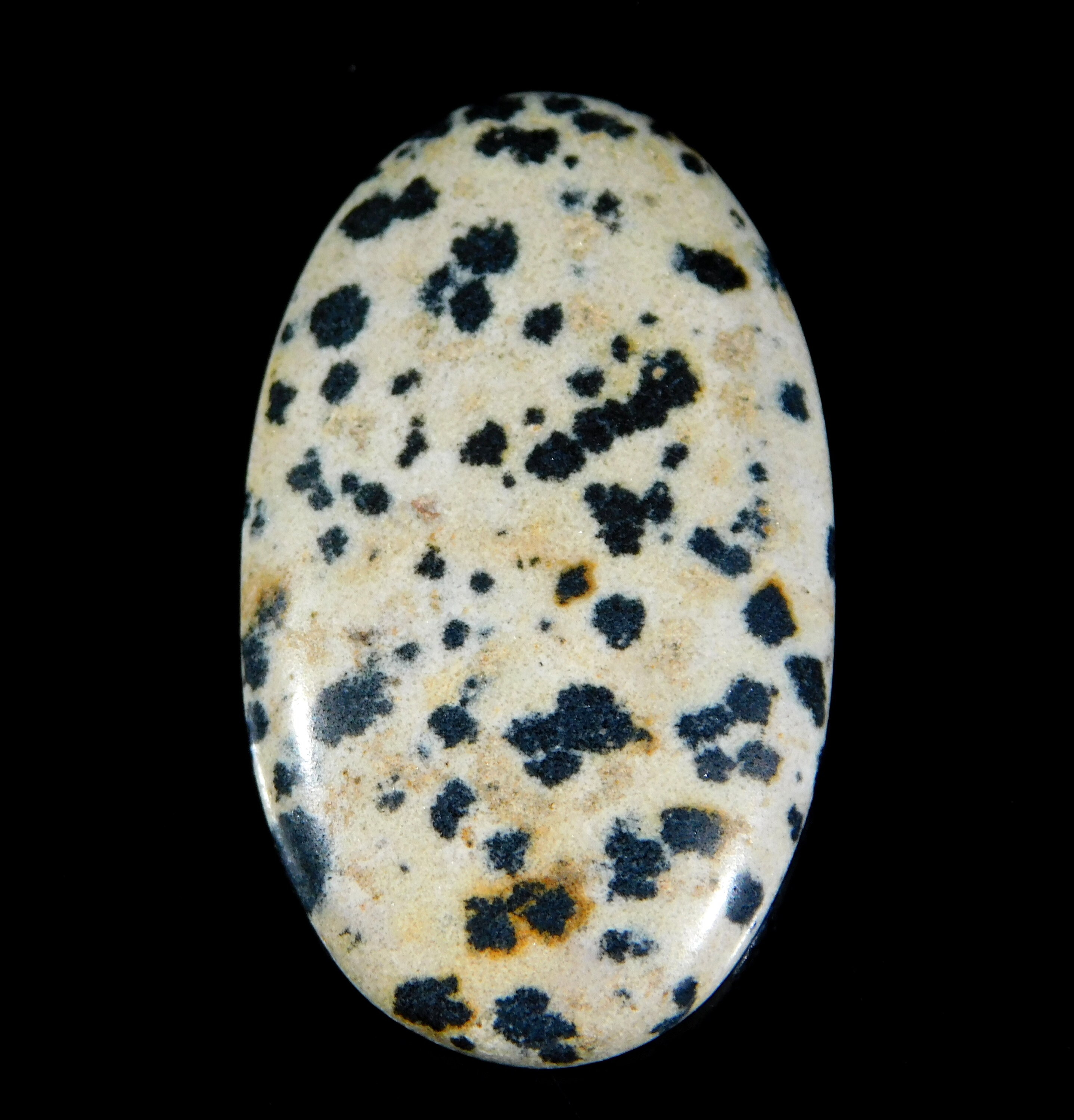 Top Quality Natural Dalmatian Jasper Oval Cabochon 40.00 Ct Etsy