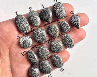 Natural Black Fossil Coral Mix Shape Cabochon Gemstone. Spider Web