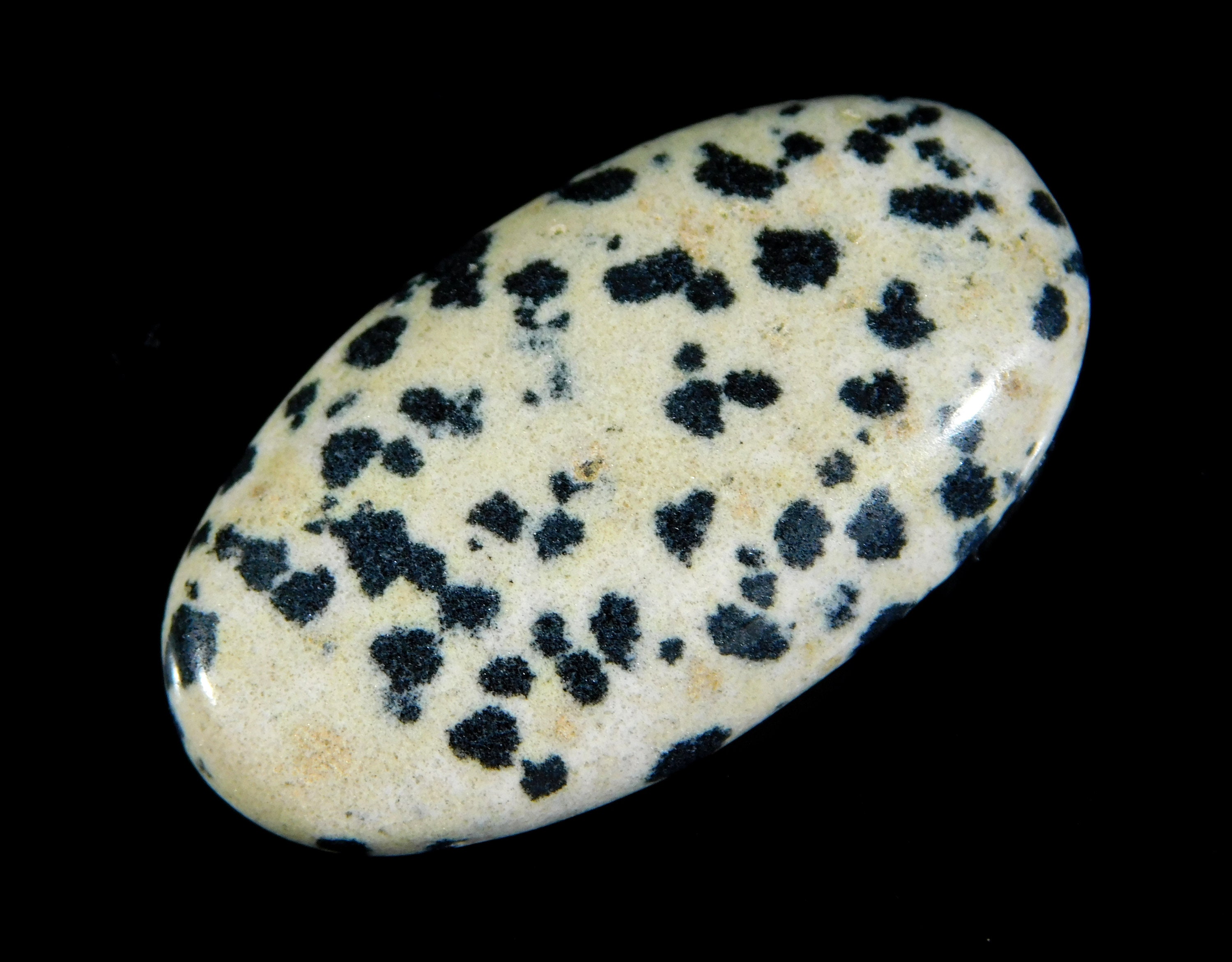 dalmation jasper element dalmation jasper element