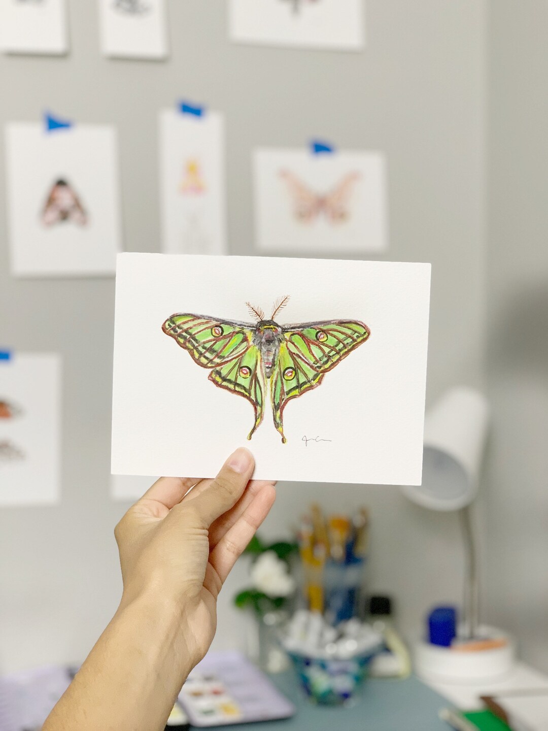 ORIGINAL WATERCOLOR, Spanish Moon Moth, Moth Wall Art, Home Decor - Etsy