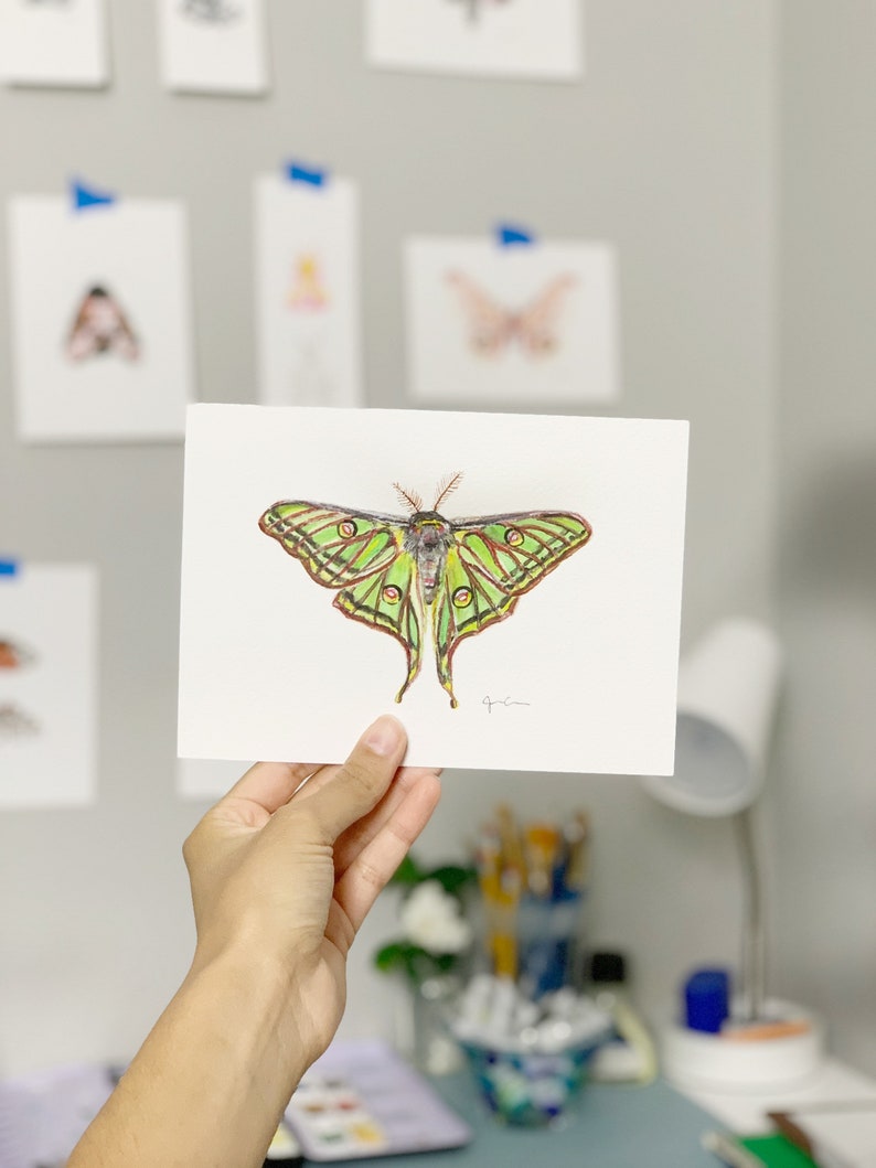 ORIGINAL WATERCOLOR Spanish Moon Moth Home Decor Moth Wall Art