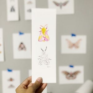 ORIGINAL WATERCOLOR ILLUSTRATION, Small Moths 3, Moth Wall Art, Home Decor