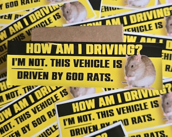 How Am I Driving Rat Novelty Bumper Sticker Meme Vinyl Decal