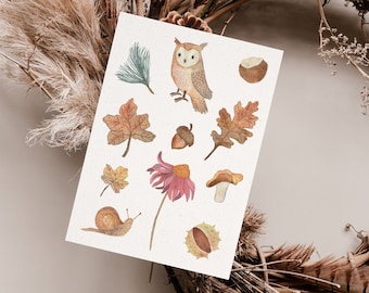Carte postale « Amour d'automne » • Aquarelle peinte à la main • Carte de voeux d'anniversaire hibou des forêts