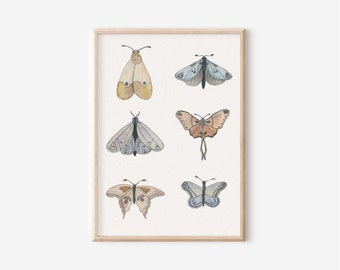 Poster "Moth" A4 with hand-painted watercolor motifs