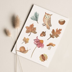 Carte postale « Amour d'automne » • Aquarelle peinte à la main • Carte de voeux d'anniversaire hibou des forêts Ohne Briefumschlag