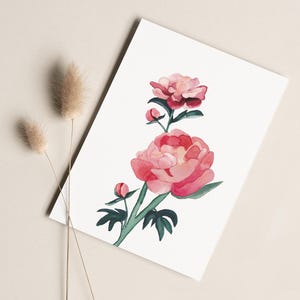 Postkarte „Pfingstrose“ • Aquarell handgemalt • Glückwunschkarte Geburtstag Frühling