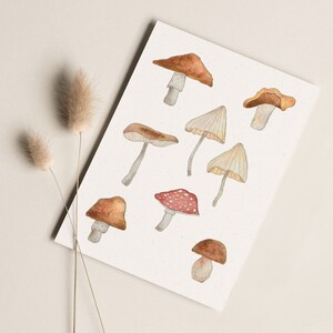 Carte postale « Champignons » • Aquarelle peinte à la main • Carte de voeux d'automne Ohne Briefumschlag