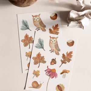 Carte postale « Amour d'automne » • Aquarelle peinte à la main • Carte de voeux d'anniversaire hibou des forêts image 4