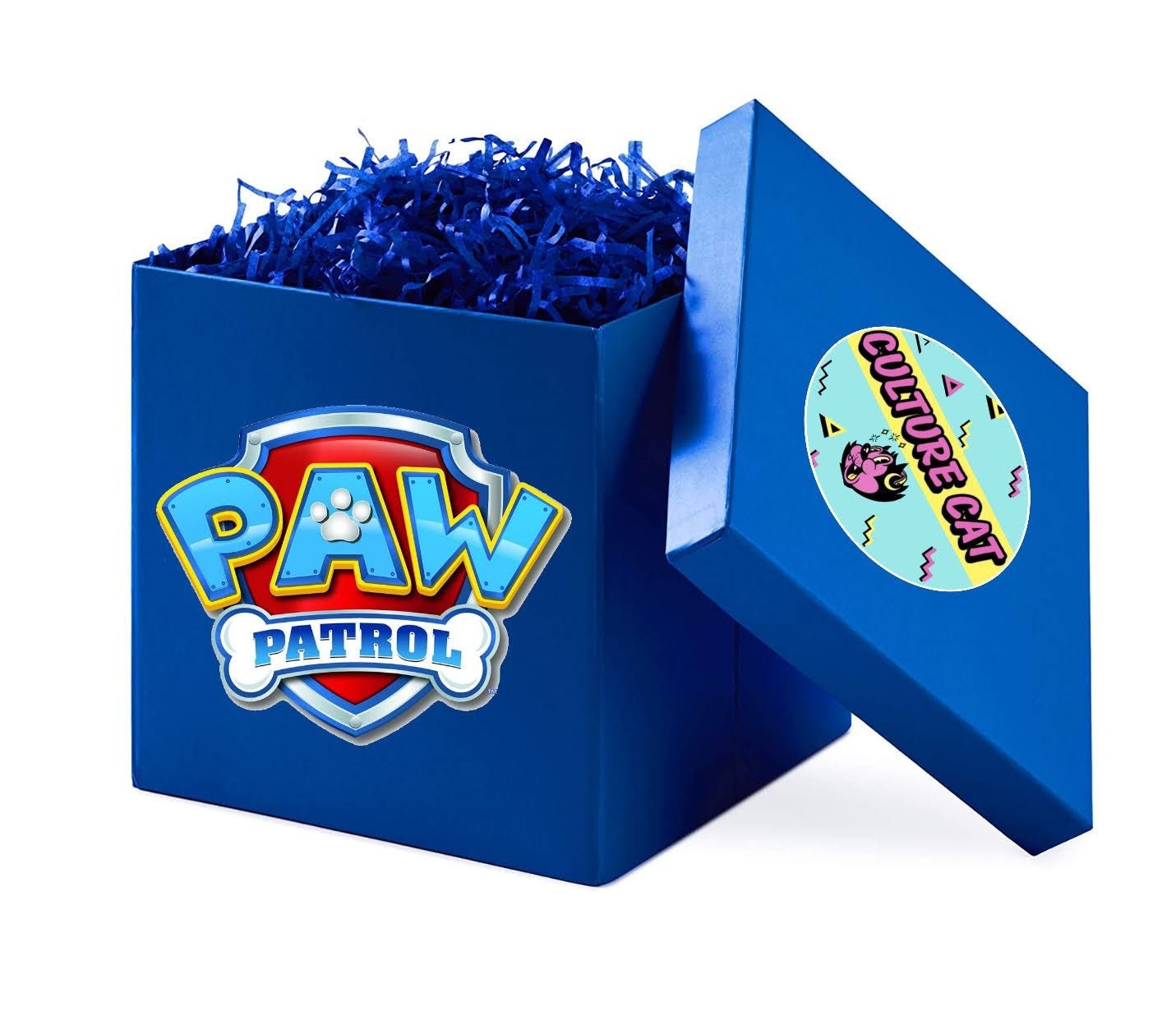 Paw Patrol Box Mystery Box Gift | Etsy