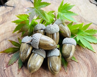Black Limba Turned Individual Acorns , Natural Acorn Caps, 5th Anniversary Gift