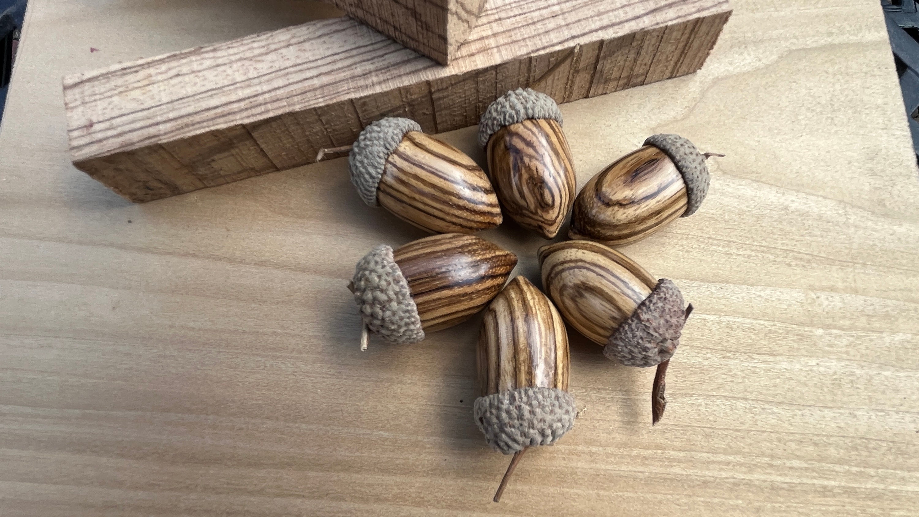 40 Natural Large Acorns, Acorn Nut, Real Big Acorn, Dly Craft Supply, Dried  Oak Acorns, Autumn Decor, Autumn Wedding Decor 