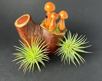 Yew log with Miniature Mushrooms, Mothers Day Gift, Wood Turned Ornament