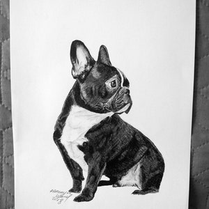 Digital French Bulldog, Pet portrait, Dog portrait