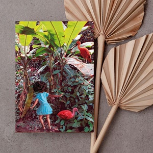 Carte postale « oiseaux de la jungle »