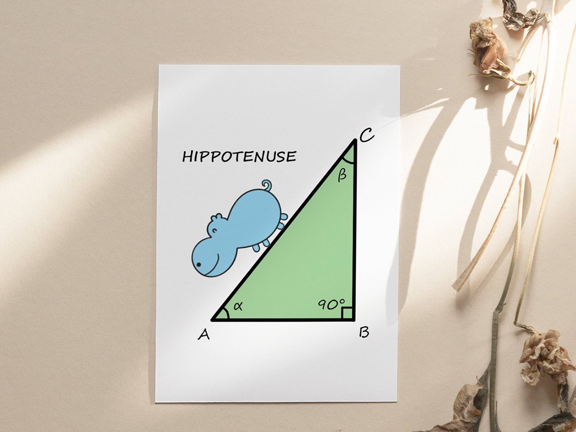 Hipotenuse Greeting Carda6funny Gift - Etsy Sweden Hipotenuse Greeting Carda6funny Gift - Etsy Sweden