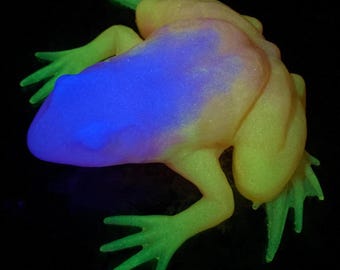Glow in the Dark Frog, Frog Lover Gift Idea, Glow in the dark decoration, UV Reactive Glowing Paperweight, Handmade Father's Day Gift