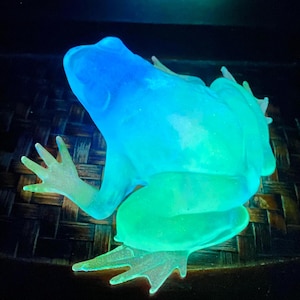 May include: A luminous frog ornament in blue and green hues. The amphibian is positioned on a dark surface, with its translucent body glowing. The frog's skin has a textured look, and its limbs are extended.
