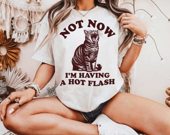 I'm Having A Hot Flash Cat T Shirt, Funny Menopause Shirt, Perimenopause Shirts, Funny Sayings, Menopausal T Shirt, Gag Gifts For Women