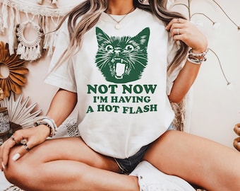 I'm Having A Hot Flash Cat T Shirt, Funny Menopause Shirt, Perimenopause Shirts, Funny Sayings, Menopausal T Shirt, Gag Gifts For Women