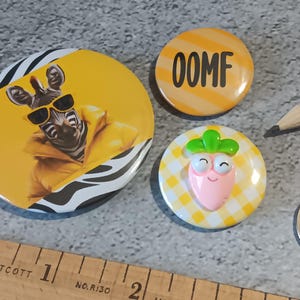 May include: Three colorful pinback buttons. One button features a zebra wearing sunglasses and a yellow jacket. Another button has the word "OOMF" in black. The third button has a smiling carrot design.