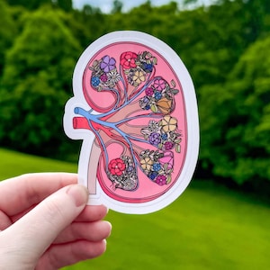 Niersticker, bloemen anatomie links en rechts sticker nierziekte bewustzijn, chronische nierziekte, niertransplantatie, nefroloog cadeau