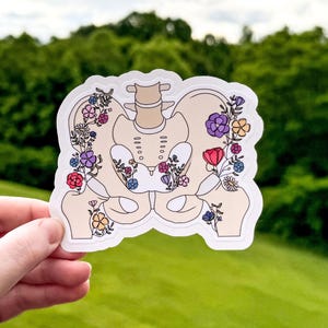 Becken Aufkleber, Floral Anatomisch Hüfte und Becken Bewusstsein Aufkleber, Orthopädie, Beckenboden, Hüftdysplasie, Geschenk für Physiotherapeutin