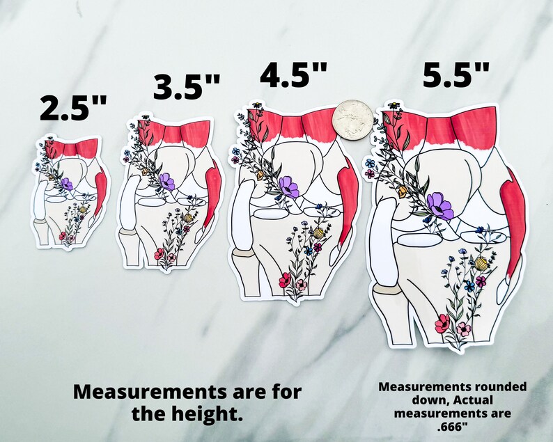 Knee Sticker, Floral Anatomy Knee Awareness Sticker - Etsy