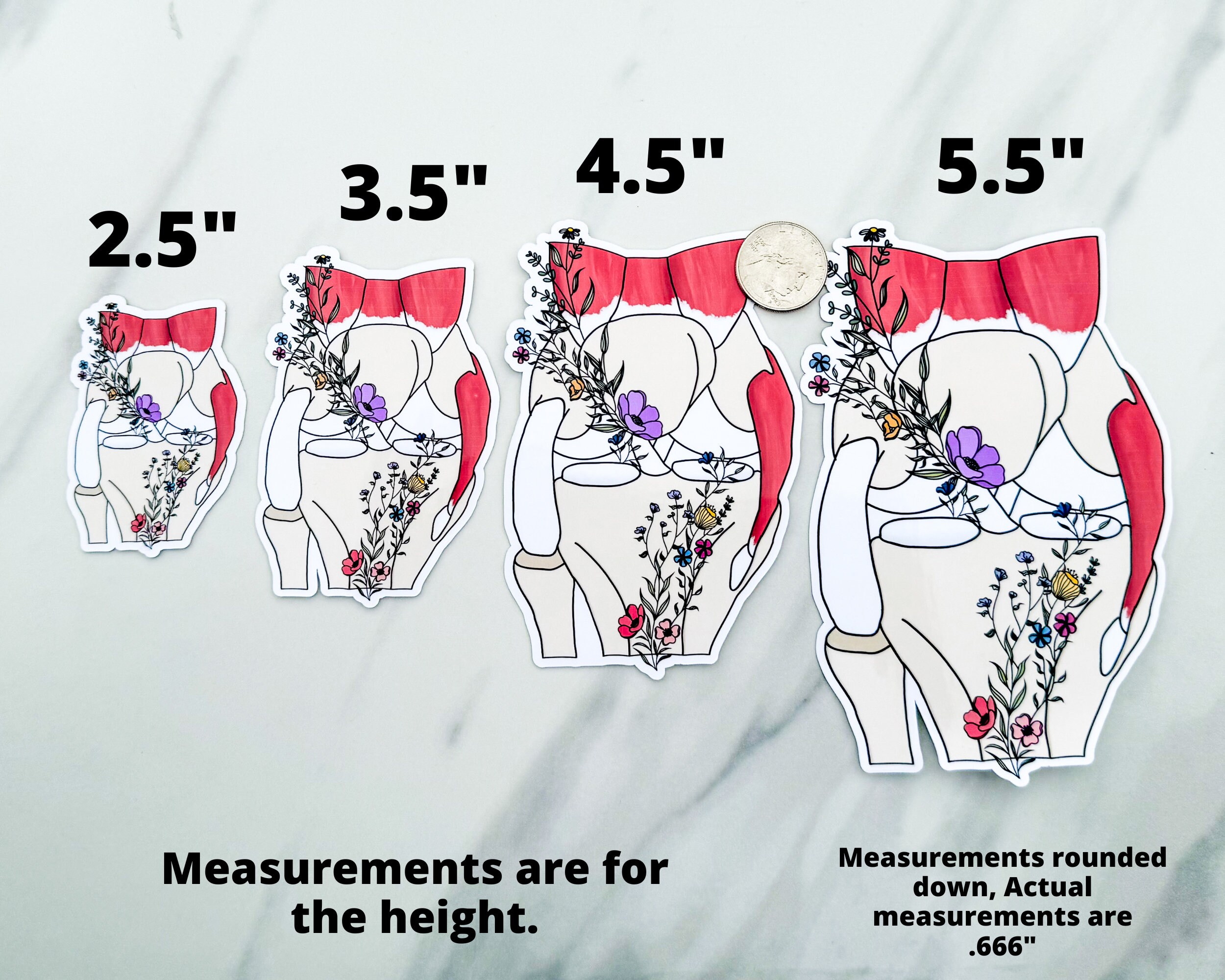 Knee Sticker, Floral Anatomy Knee Awareness Sticker - Etsy