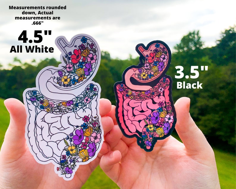 Small Intestine Sticker Blue Intestines Sticker, Floral Anatomy Stomach Large and Small Intestines ...