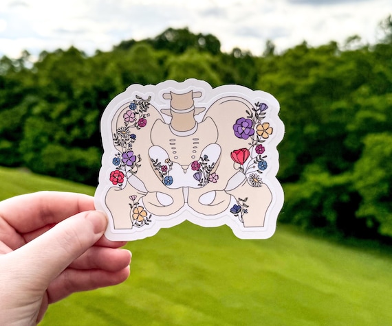 Pelvis Sticker, Floral Anatomy Hip and Pelvis Awareness Sticker, Orthopedics, Pelvic Floor, Hip Dysplasia, Gift for Physical Therapist