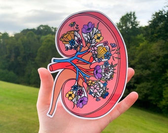 Kidney Sticker, Floral Anatomy Left and Right Kidney Awareness Sticker