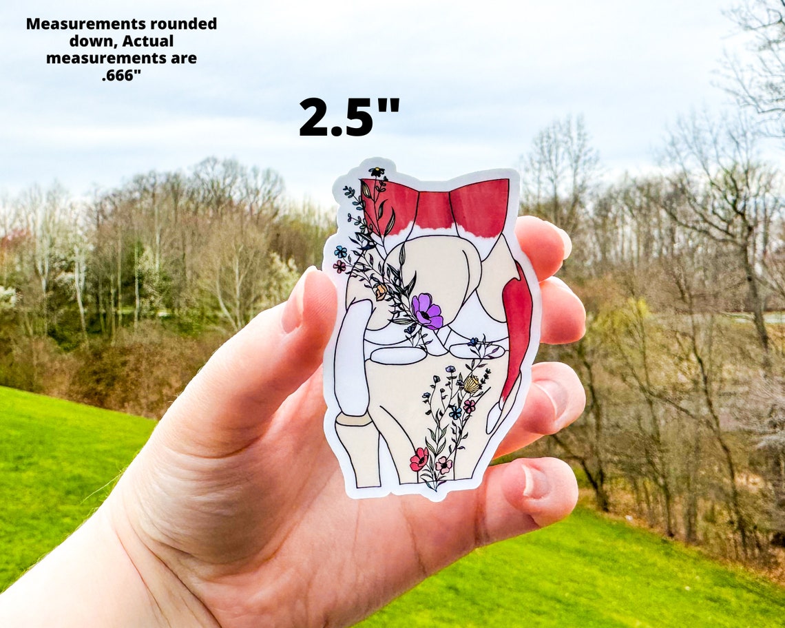 Knee Sticker, Floral Anatomy Knee Awareness Sticker - Etsy