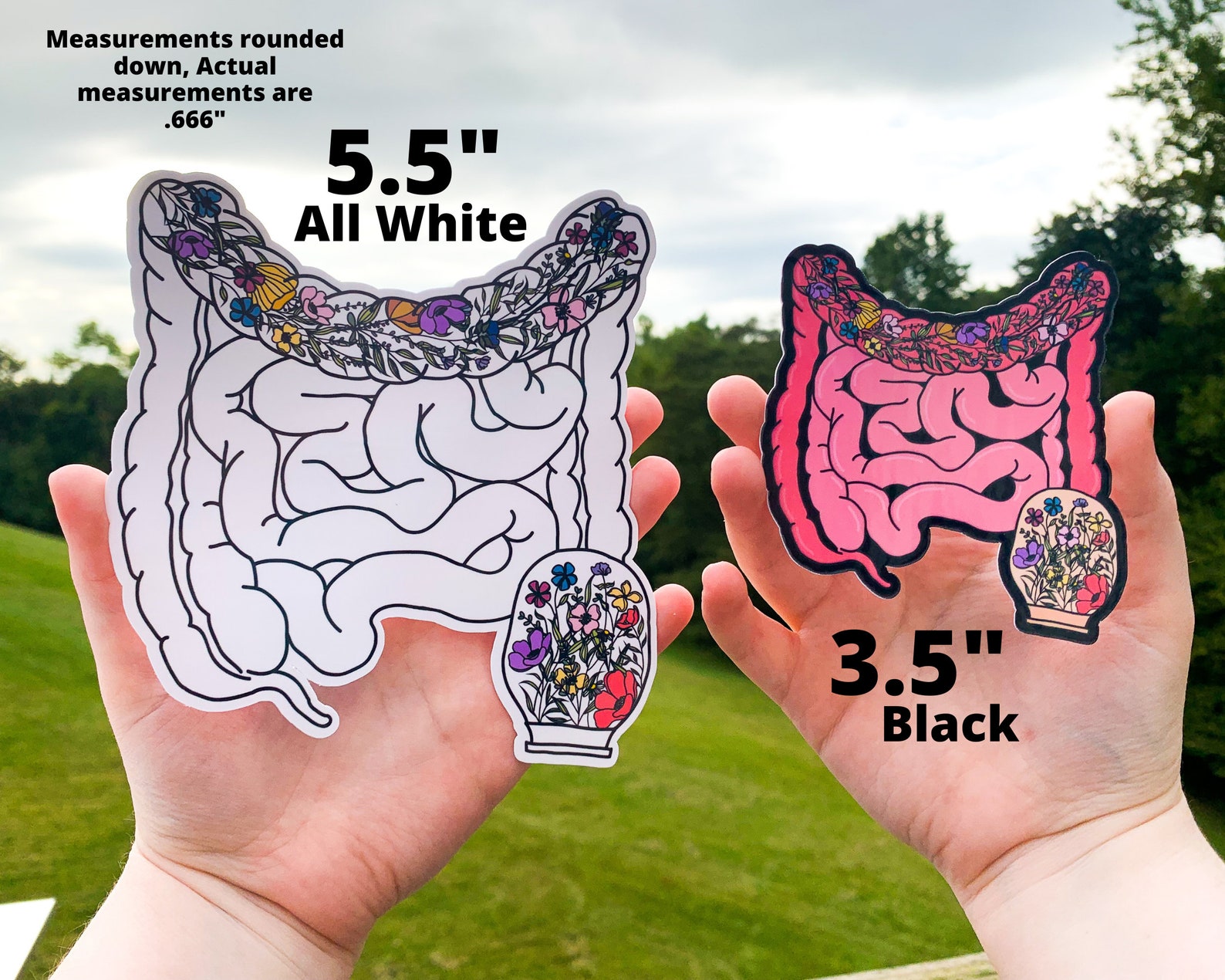 Intestine Sticker Ostomy Sticker, Floral Anatomy Intestines With Ostomy Bag Awareness ...