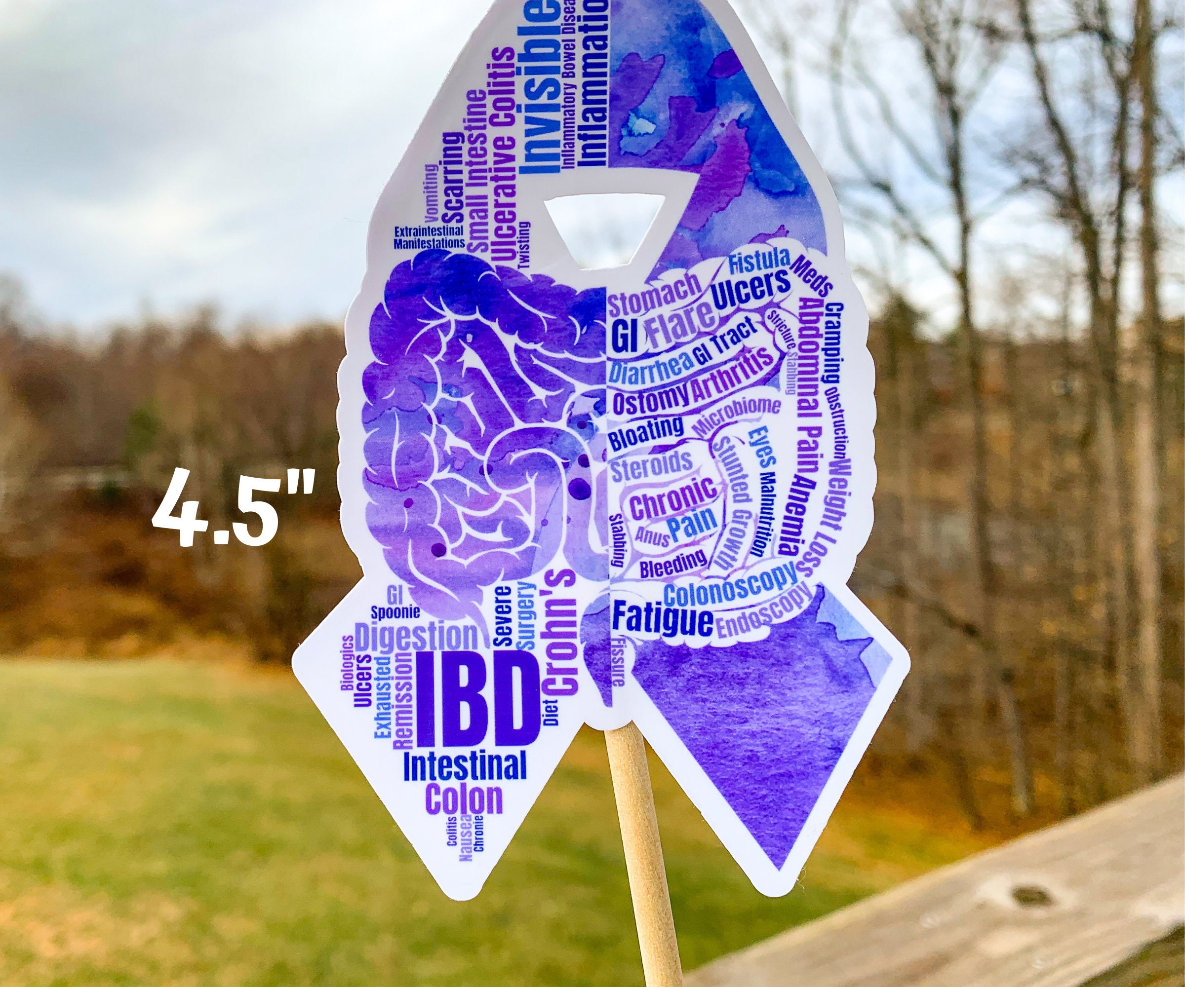 IBD Sticker, Inflammatory Bowel Disease Awareness Ribbon Word Cloud ...
