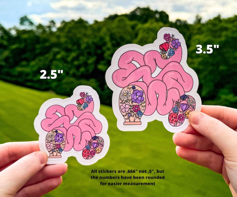 Colonoscopy Sticker Designs Ileostomy Sticker, Floral Anatomy Small Intestine With Ostomy Sticker ...