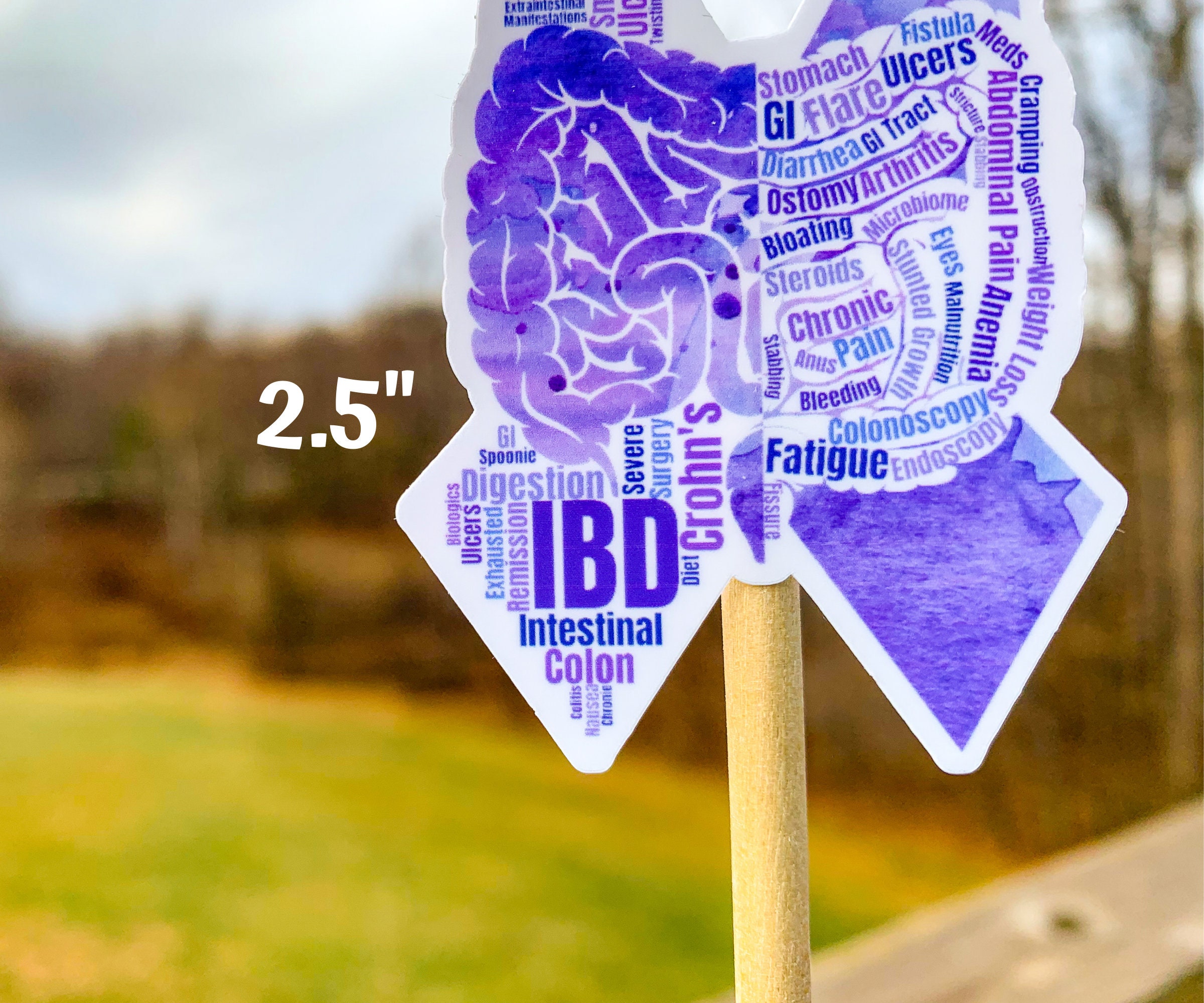 IBD Sticker, Inflammatory Bowel Disease Awareness Ribbon Word Cloud ...