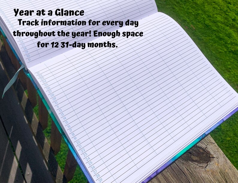 May include: A close-up of a blank, white page in a blue and green journal. The page is lined and has numbers printed on the side. The text "Year at a Glance Track information for every day throughout the year! Enough space for 12 31-day months." is printed at the top of the page.