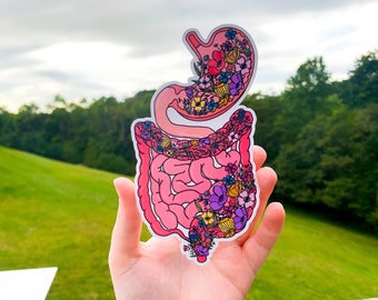 Intestines Sticker, Floral Anatomy Stomach Large and Small Intestines Awareness Sticker