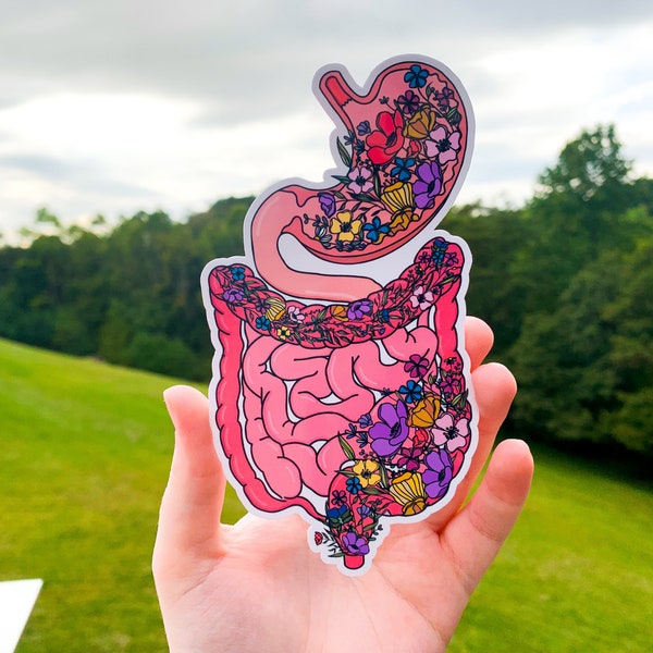 Intestines Sticker, Floral Anatomy Stomach Large and Small Intestines Awareness Sticker