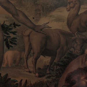 Antique Adam & Eve in the Garden of Eden Aquatint and Drypoint Prints ...