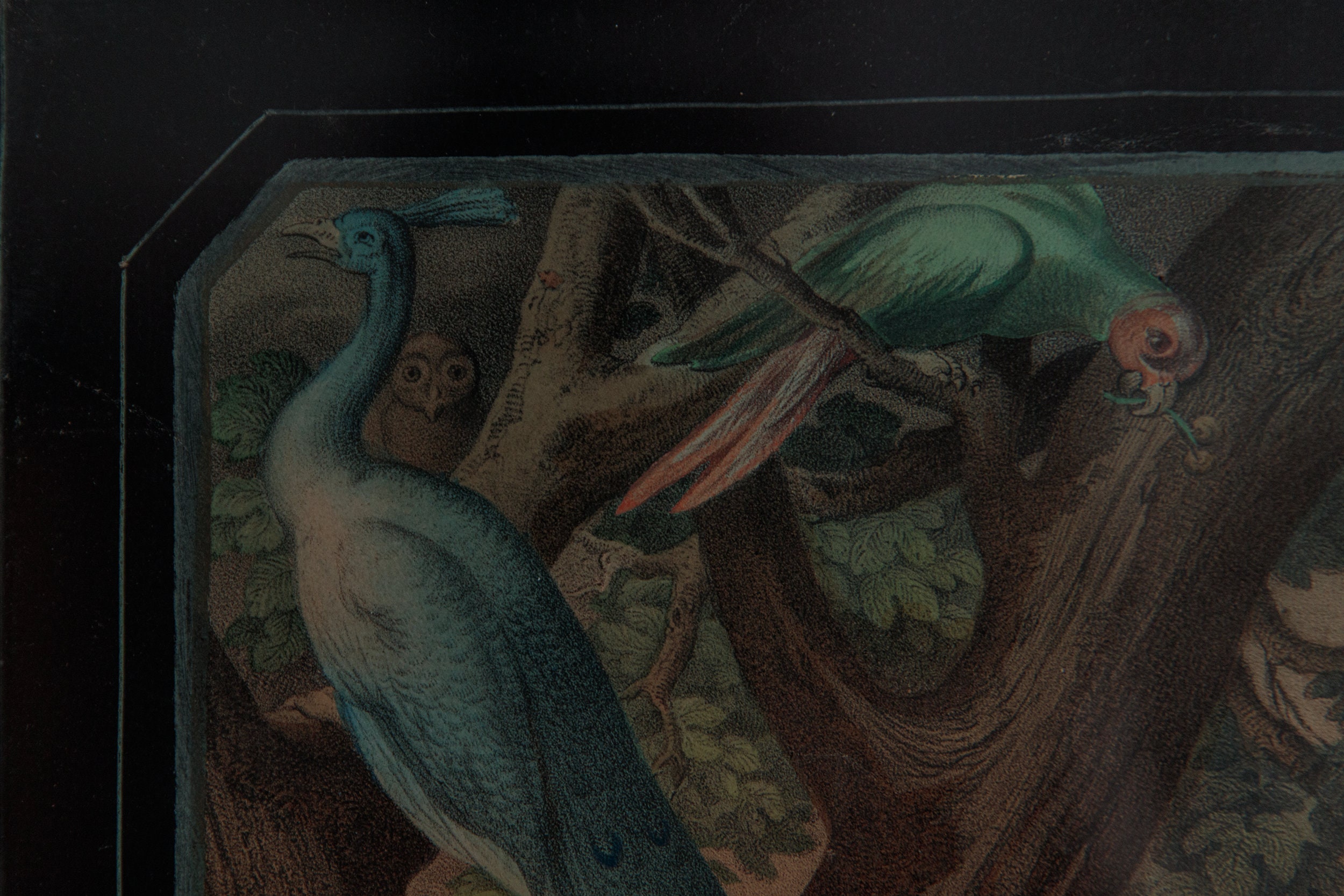 Antique Adam & Eve in the Garden of Eden Aquatint and Drypoint Prints ...