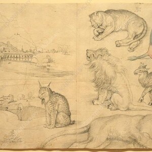May include: A detailed pencil sketch featuring various animals and architectural elements. The artwork includes a lion, a lynx, a deer-like creature, and a primate-like figure. Architectural elements include a castle and a bridge.