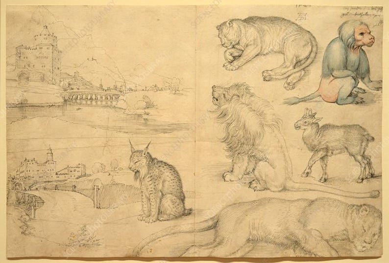 May include: A detailed pencil sketch featuring various animals and architectural elements. The artwork includes a lion, a lynx, a deer-like creature, and a primate-like figure. Architectural elements include a castle and a bridge.