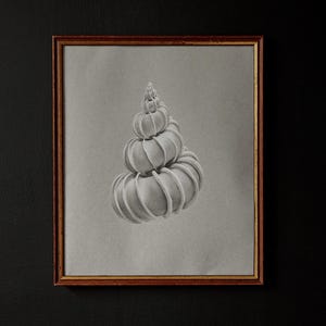 May include: A framed pencil drawing of a spiraling, stacked form resembling a shell or a series of stacked pumpkins. The artwork is in a wooden frame with a neutral background and is set against a dark wall.