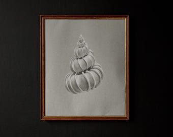 May include: A framed pencil drawing of a spiraling, stacked form resembling a shell or a series of stacked pumpkins. The artwork is in a wooden frame with a neutral background and is set against a dark wall.