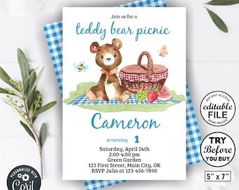 Teddy Bear Picnic / Instant access / Birthday / Invitation / boy / girl / blue / red / green / woodland / editable / baby shower /BDPC1/ 09