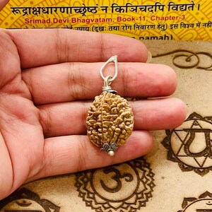 Lab Certified 2 Mukhi Rudraksha Bead: Shiva Prayer, Healing, Protection image 1